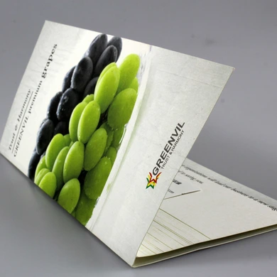 printing brochure  introduction for exhibition promotion